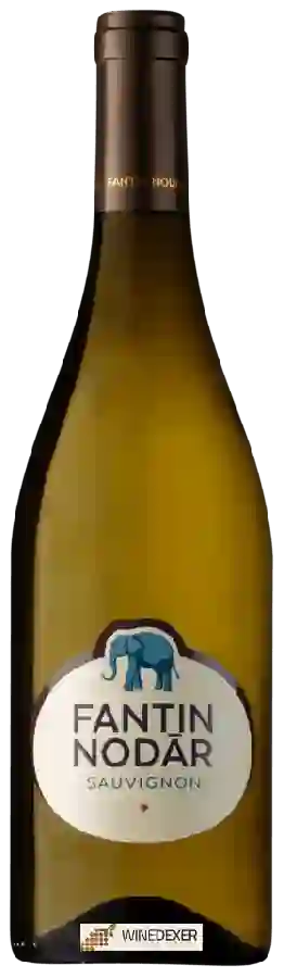 Winery Fantin Nodar - Sauvignon