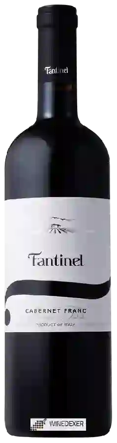 Winery Fantinel - Cabernet Franc Borgo Tesis
