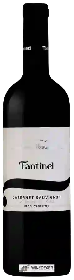 Winery Fantinel - Cabernet Sauvignon Borgo Tesis