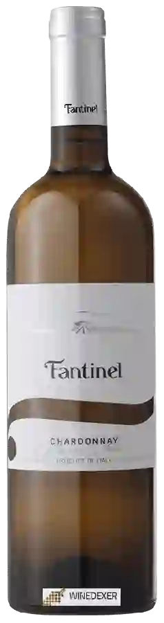Winery Fantinel - Chardonnay Borgo Tesis