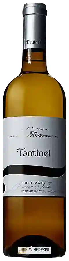 Winery Fantinel - Friulano Borgo Tesis