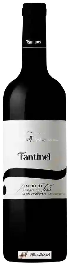 Winery Fantinel - Merlot Borgo Tesis