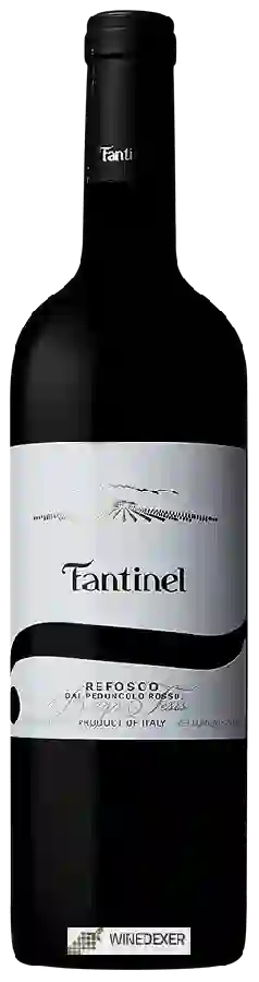 Winery Fantinel - Refosco dal Peduncolo Rosso Borgo Tesis Winery Fantinel - Refosco dal Peduncolo Rosso Borgo Tesis
