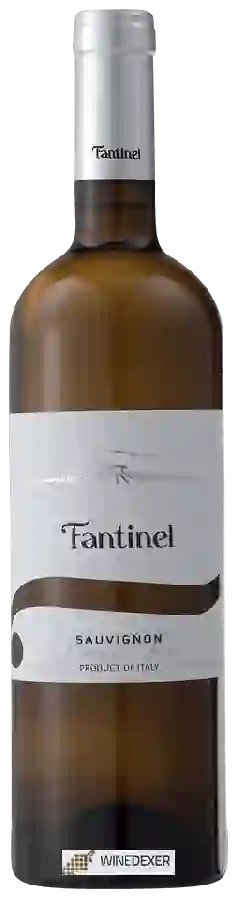 Winery Fantinel - Sauvignon Borgo Tesis Winery Fantinel - Sauvignon Borgo Tesis