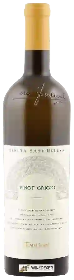 Winery Fantinel - Tenuta Sant'Helena Pinot Grigio