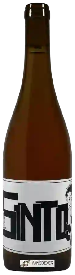 Winery Farnea - Sinto Winery Farnea - Sinto
