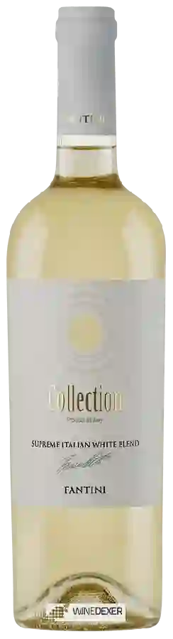 Winery Farnese - Fantini Collection White Blend