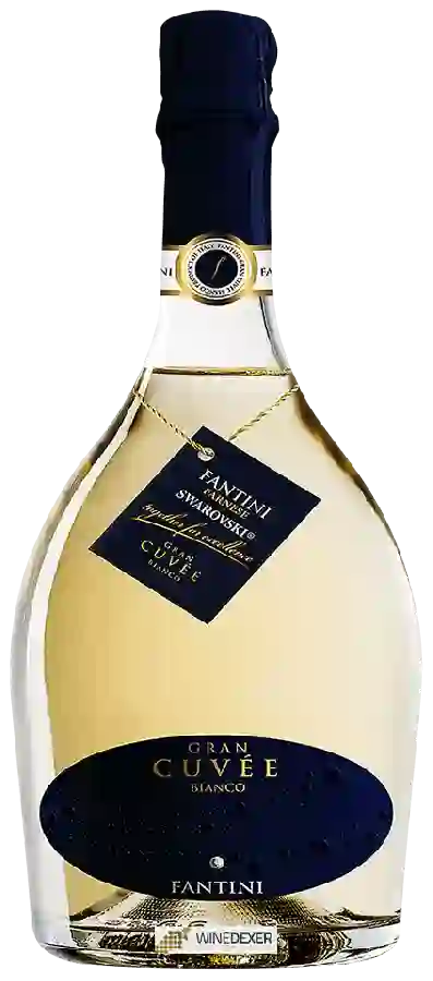 Winery Farnese - Fantini Gran Cuvée Bianco Winery Farnese - Fantini Gran Cuvée Bianco