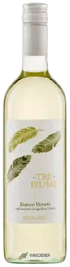 Winery Fasoli Gino - Tre Piume Bianco