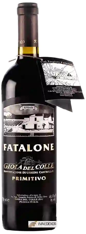 Winery Fatalone - Gioia del Colle Primitivo