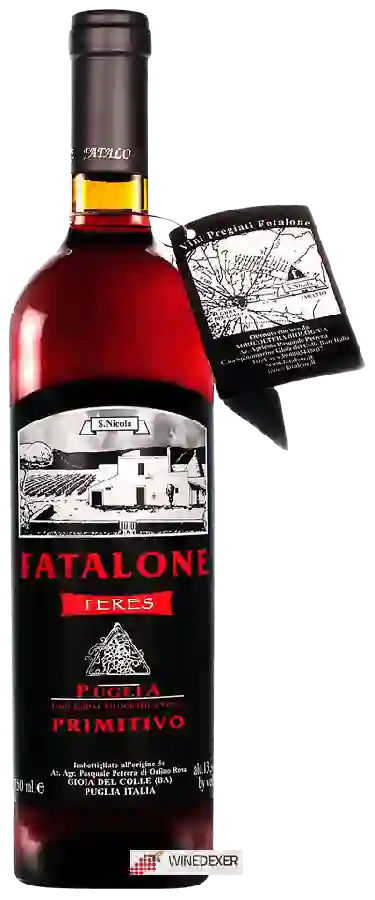 Winery Fatalone - Teres Primitivo