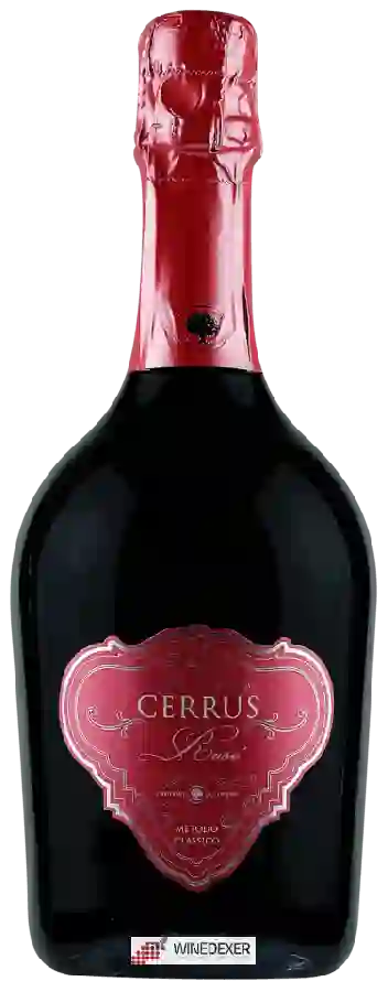 Winery Tenute del Cerro - Cerrus Metodo Classico Brut Rosé Winery Tenute del Cerro - Cerrus Metodo Classico Brut Rosé