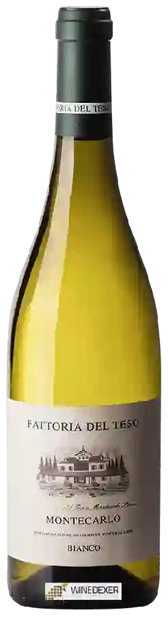 Winery Fattoria del Teso - Montecarlo Bianco