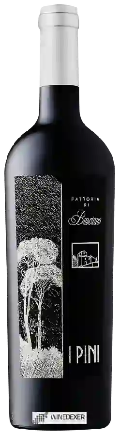 Winery Fattoria di Basciano - I Pini