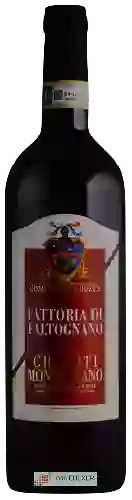 Winery Fattoria di Faltognano - Chianti Montalbano