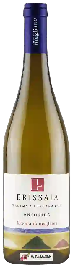 Winery Fattoria di Magliano - Brissaia Ansonica