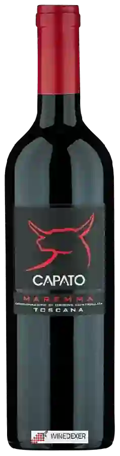 Winery Fattoria di Magliano - Capato Maremma Toscana