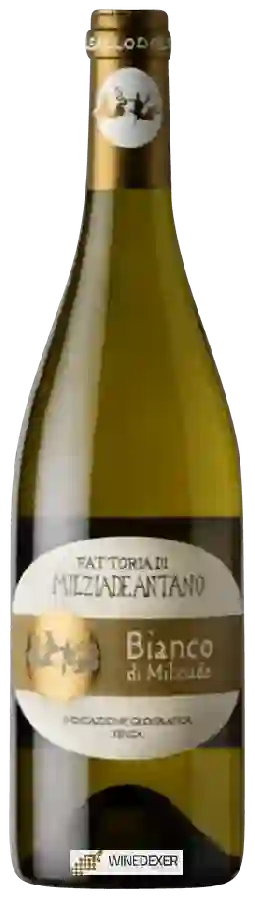 Winery Fattoria Colleallodole Milziade Antano - Bianco di Milziade