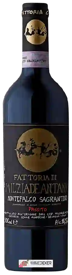Winery Fattoria Colleallodole Milziade Antano - Montefalco Sagrantino Passito