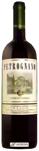 Winery Fattoria di Petrognano - Montevago Colli della Toscana Centrale