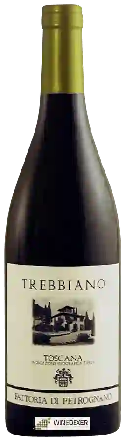 Winery Fattoria di Petrognano - Trebbiano Winery Fattoria di Petrognano - Trebbiano