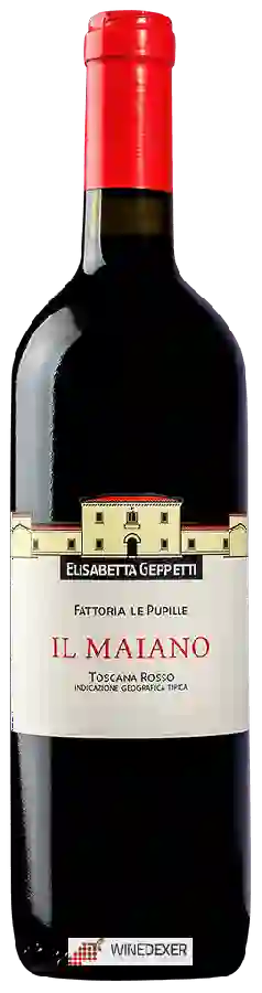 Winery Fattoria le Pupille - Il Maiano Toscana