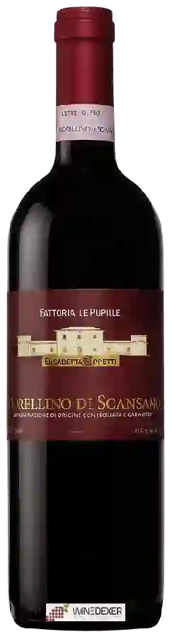 Winery Fattoria le Pupille - Morellino di Scansano Winery Fattoria le Pupille - Morellino di Scansano