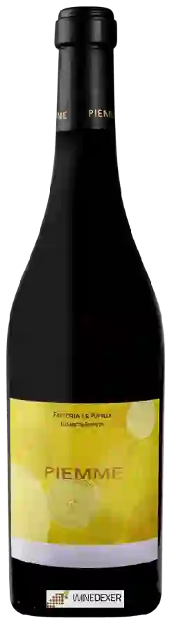 Winery Fattoria le Pupille - Piemme