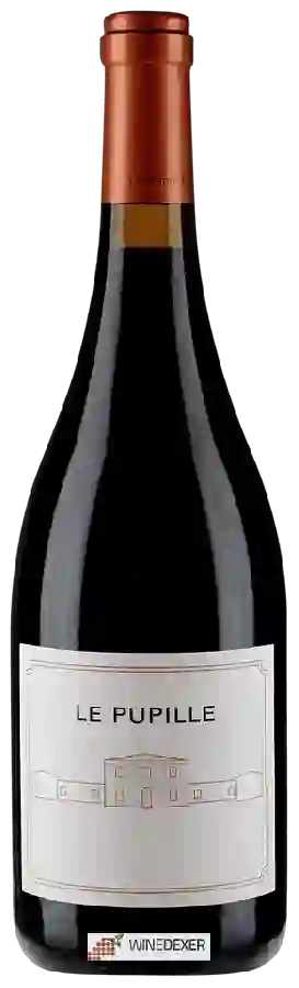 Winery Fattoria le Pupille - Syrah Winery Fattoria le Pupille - Syrah