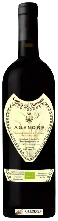 Winery Fattoria Mondo Antico - Collina del Pernione Agenore