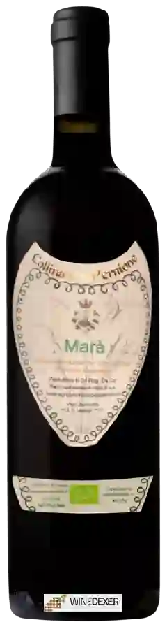 Winery Fattoria Mondo Antico - Collina del Pernione Marà Winery Fattoria Mondo Antico - Collina del Pernione Marà