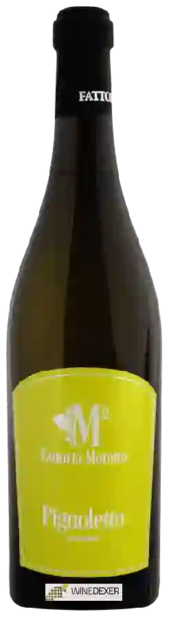 Winery Fattoria Moretto - Pignoletto Winery Fattoria Moretto - Pignoletto