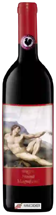 Winery Nittardi - Magnificus