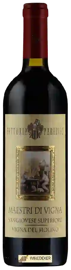 Winery Fattoria Paradiso - Maestri di Vigna del Molino Sangiovese Superiore