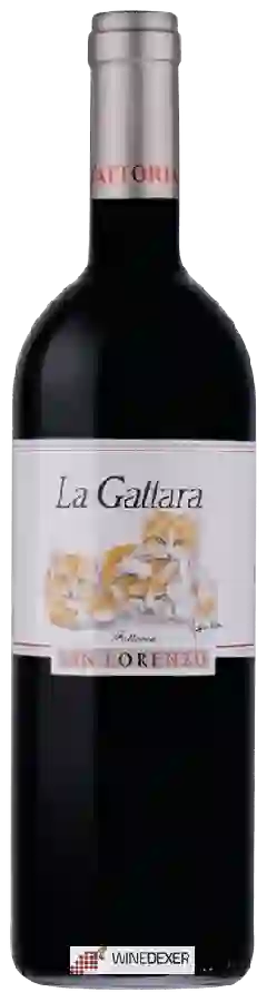 Winery Fattoria San Lorenzo - La Gattara Winery Fattoria San Lorenzo - La Gattara