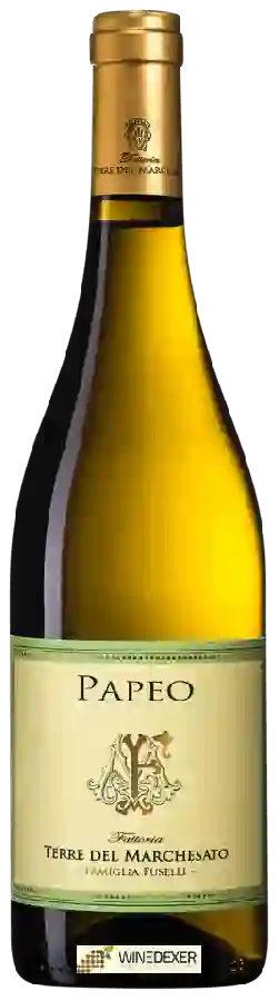 Winery Terre del Marchesato - Papeo Winery Terre del Marchesato - Papeo