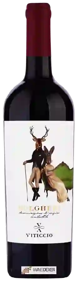 Winery Viticcio - Bolgheri Winery Viticcio - Bolgheri