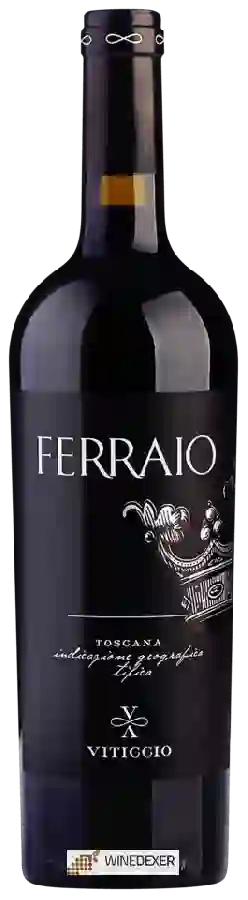 Winery Viticcio - Ferraio Toscana