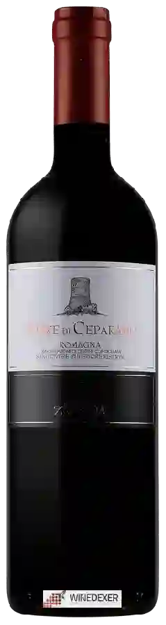 Winery Fattoria Zerbina - Torre di Ceparano Sangiovese di Romagna Superiore Riserva