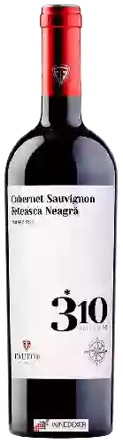 Winery Fautor - 310 Altitudine Cabernet Sauvignon - Feteasca Neagra