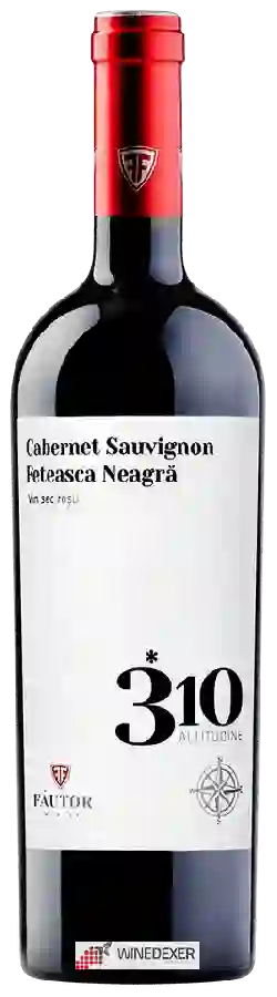 Winery Fautor - 310 Altitudine Cabernet Sauvignon - Feteasca Neagra Winery Fautor - 310 Altitudine Cabernet Sauvignon - Feteasca Neagra