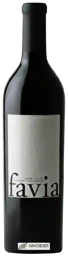 Winery Favia - Cabernet Sauvignon Winery Favia - Cabernet Sauvignon