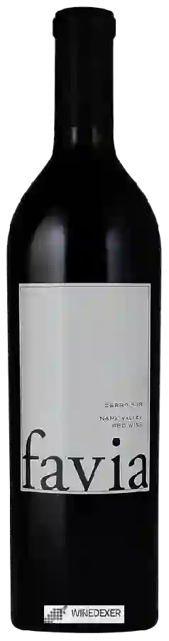 Winery Favia - Cerro Sur