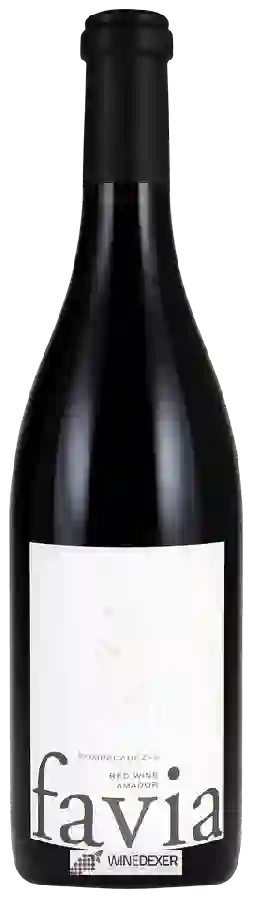 Winery Favia - Rompecabezas