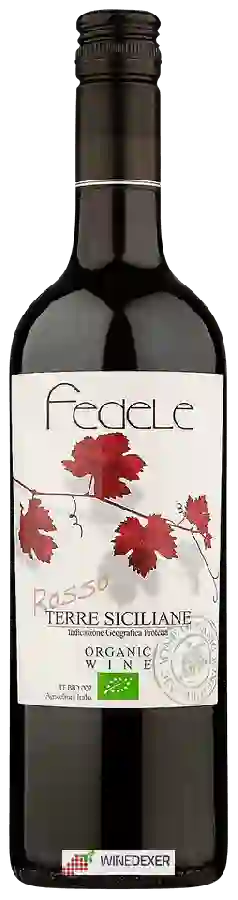 Winery Fedele - Rosso Winery Fedele - Rosso