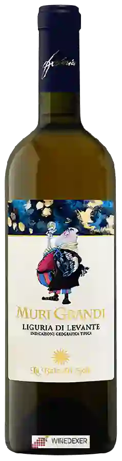 Winery Federici - La Baia del Sole - Muri Grandi Liguria di Levante