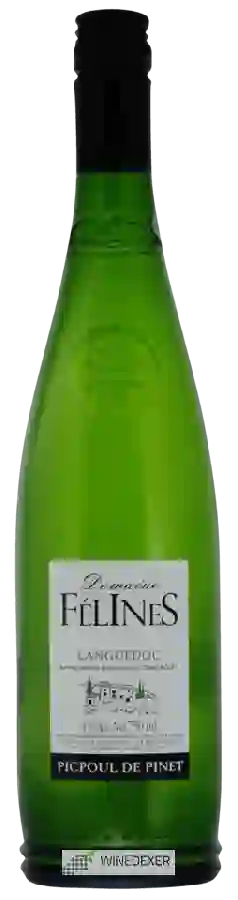 Domaine Félines Jourdan - Domaine Félines Picpoul de Pinet