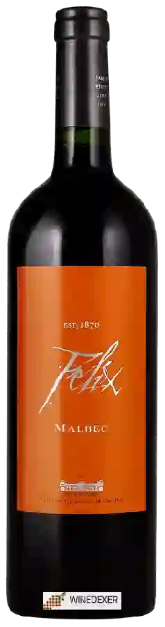 Winery Felix Lavaque - Malbec