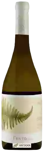 Winery Fento - Albariño