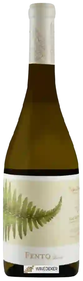 Winery Fento - Albariño